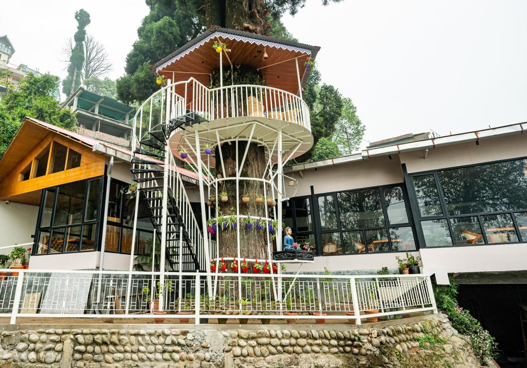 Arcadia Heritage Resort Darjeeling  Bagian luar foto